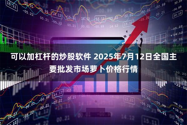 可以加杠杆的炒股软件 2025年7月12日全国主要批发市场萝卜价格行情
